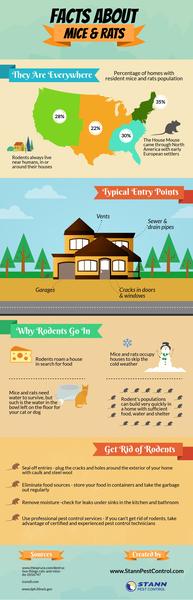 Facts About Mice And Rats
