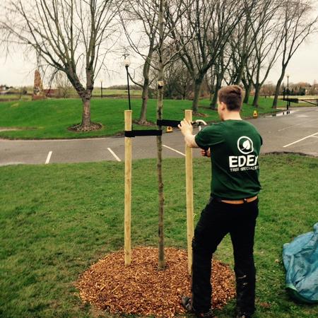 An Affordable Tree Surgery Services Milton Keynes